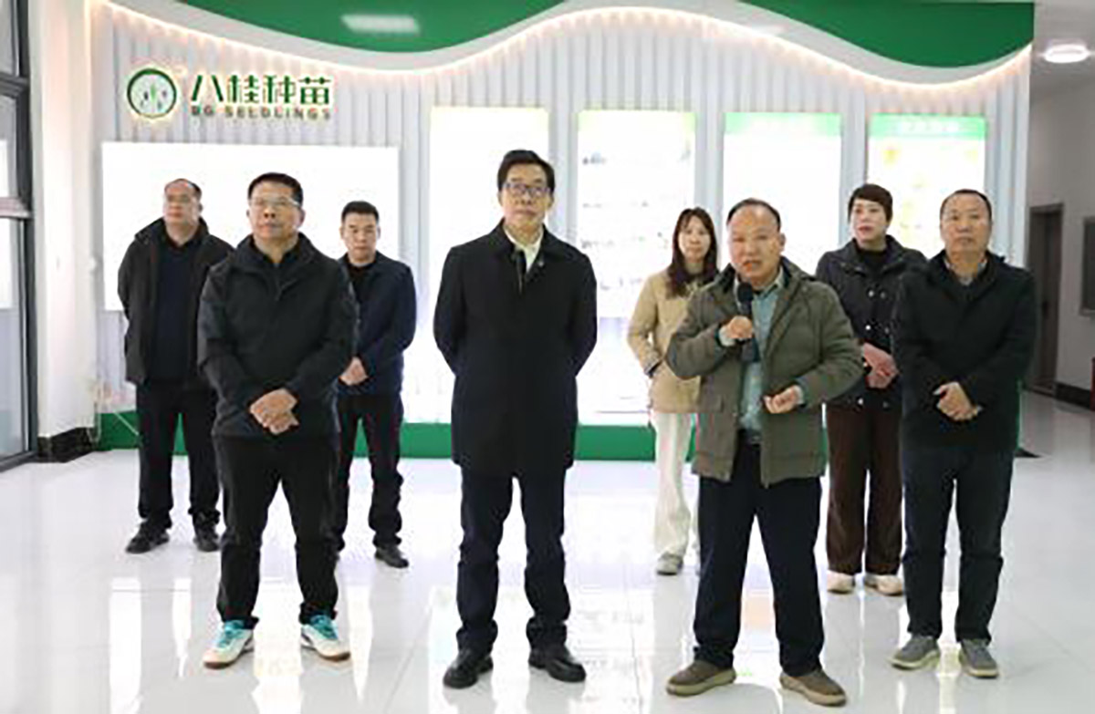 蔣桂雄到八桂種苗集團(tuán)調(diào)研